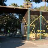 L�entrata di un altro �monumento� della zona: la Pineta San Francesco. In realt� gli ingressi sono due, uno di fronte all�altro, perch� il parco � diviso in due: c�� infatti la pineta piccola e quella grande. L�area, realizzata negli anni 60, ha rappresentato per lungo tempo l�unico polmone verde di Bari 